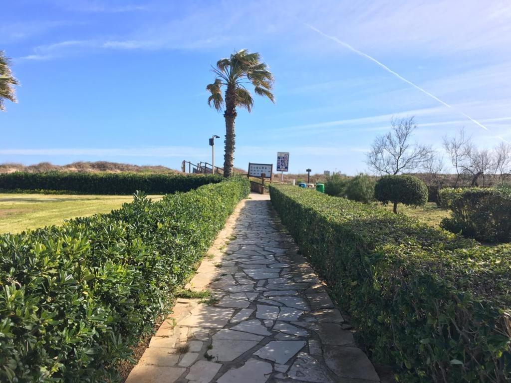 Apartamento A 100 Metros De La Playa Con Grande Terraza Y Vistas Al Mar Daimús Extérieur photo