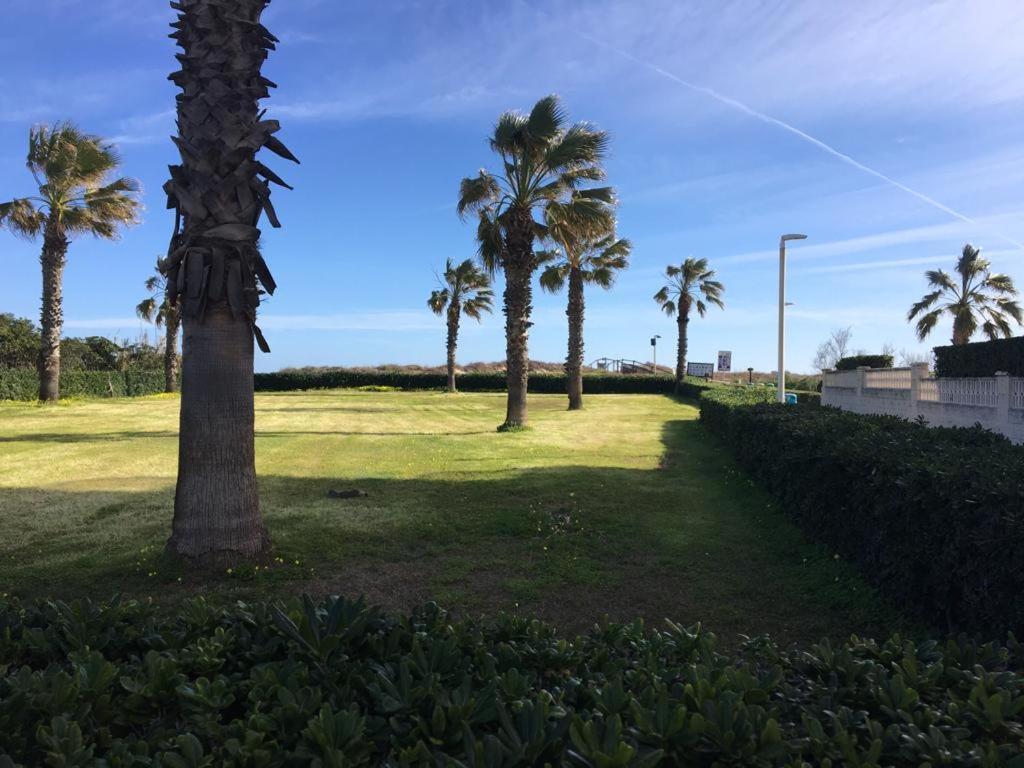 Apartamento A 100 Metros De La Playa Con Grande Terraza Y Vistas Al Mar Daimús Extérieur photo